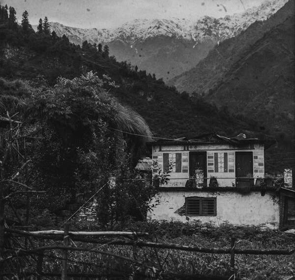 Kapı Komşum / Hacer Taner Bulut