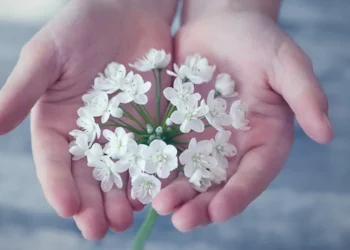 Ellerin / Neslihan Ağrı