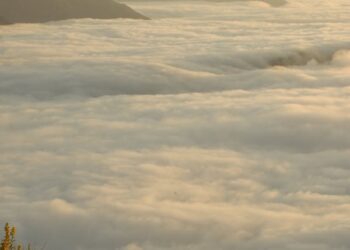 Yarin Dağlarına  Var Git Turnam/  Galip Uçar