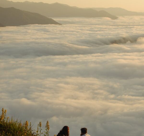 Yarin Dağlarına  Var Git Turnam/  Galip Uçar