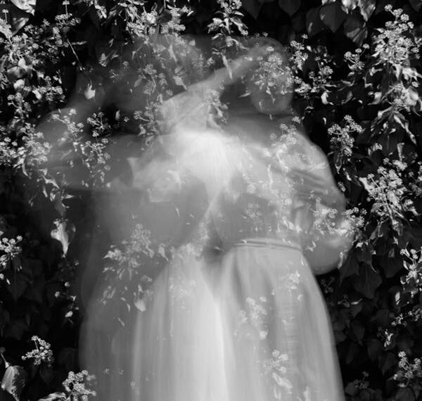 İllüzyon  /  Hacer Taner Bulut