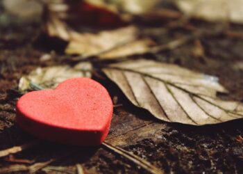 Ey Kalbim / Haydar Aksoy 