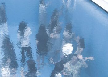 Çaresiz Feryat / Ceyda