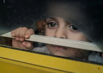 Narin / Emre Anderson