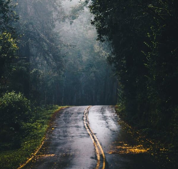 Sen Gelirdin Aklıma / Muhammet Baran Aslan