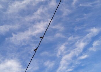 Öylesine / Zeliha Korkmaz