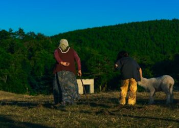 Nedendir /  Ulviye  Kara  Akcoş