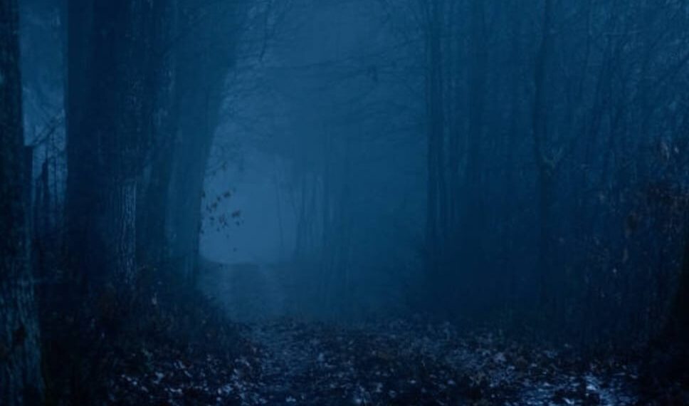 Kara Pusarık / Mustafa Ünver