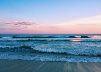 Son Yaz / Gizem Engin