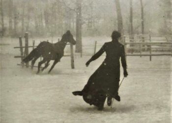 Gece Kelebeği Kül Bahçeler / Adem Tok