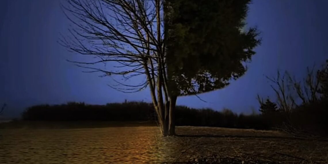 Bir Yaşıma Daha Girdim / Adem Tok