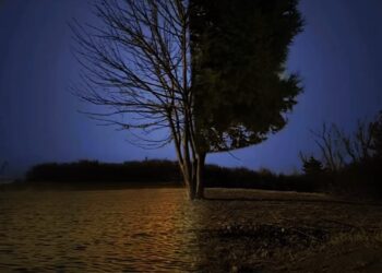 Bir Yaşıma Daha Girdim / Adem Tok