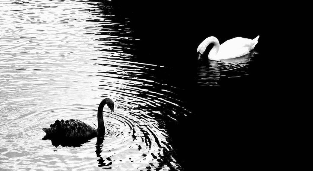 Karışmadı Tuzuna / Adem Tok