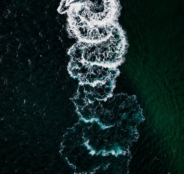 Belli  Gemileri Yakmışız / Galip  Uçar