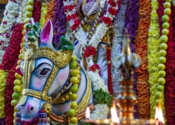 Tanrı/m  Bir  Atın Üstünde  İçiyor Kanımı  Usulca! / Binnaz Deniz Yıldız