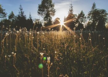 Değil  Ki /  Galip  Uçar