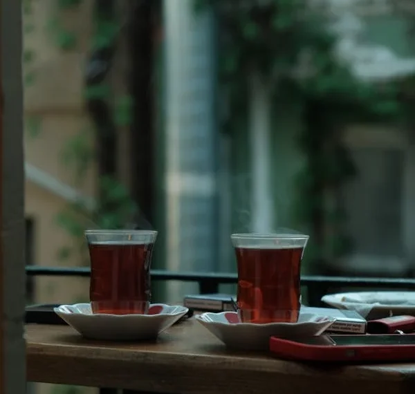 İki Bardak Çayın Hesabı / Aslıhan Ak