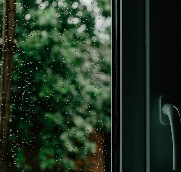 Gelmesin Bahar / Leyla Yiğit Kaya