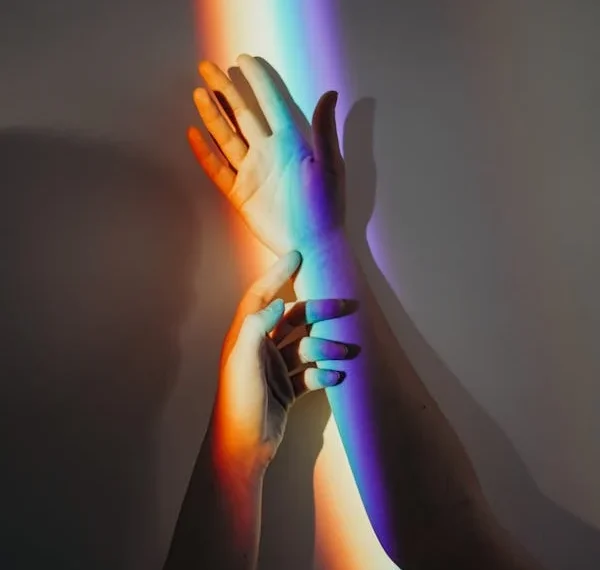 Bir Çift Gurur / Çiğdem Bilgin