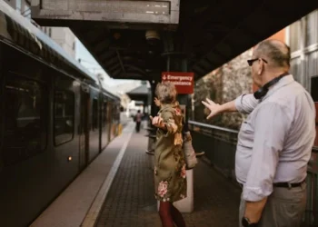 Elveda / Hacer Taner Bulut