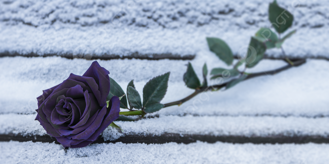 İçimde Sönmeyen Ateş / Canan Tümen