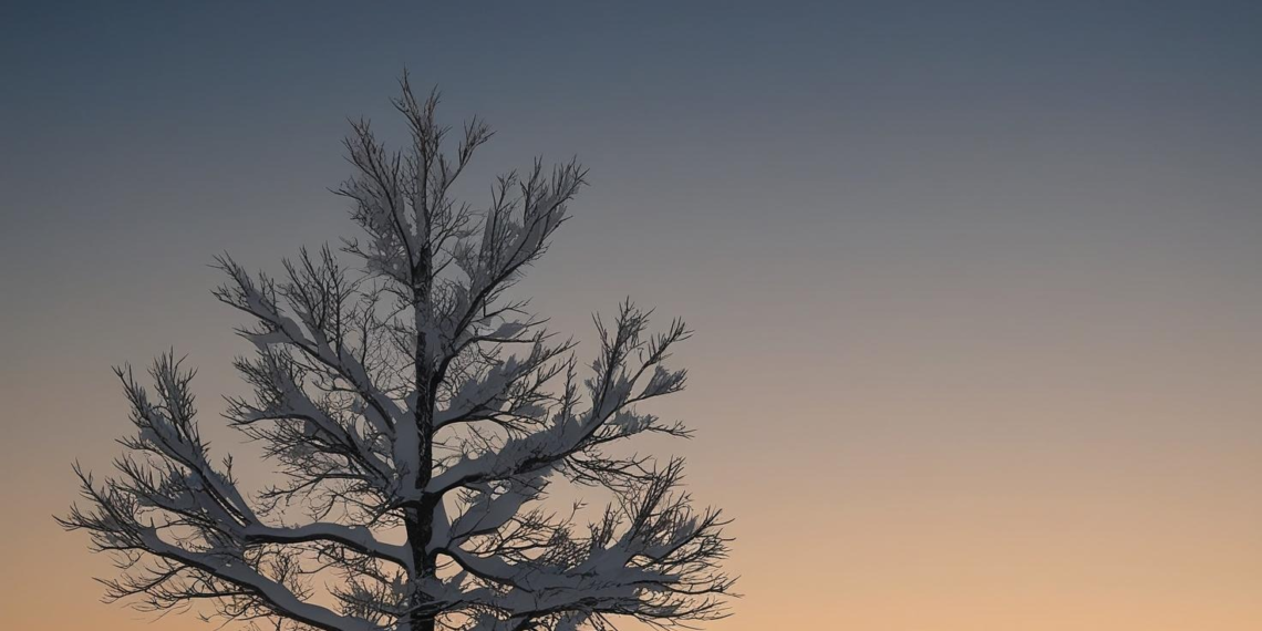 Ama Daha Çocuksun / Çiğdem Bilgin
