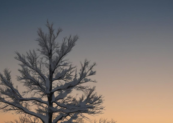 Ama Daha Çocuksun / Çiğdem Bilgin