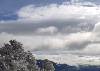 Sislerin  Ardından / Neşe Snaet