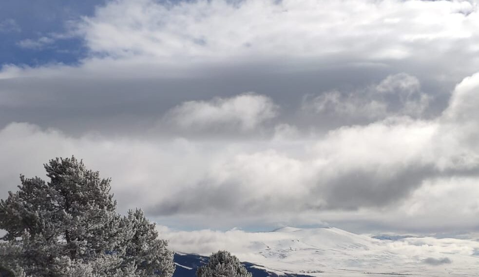 Sislerin Ardından / Neşe Snaet