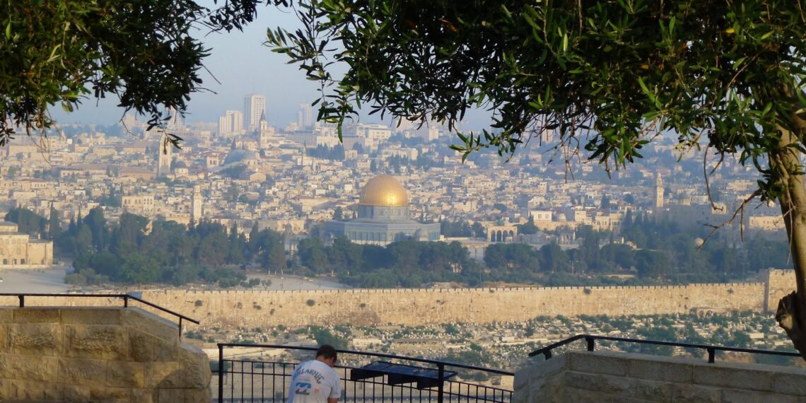 Zeytin Dalının Hikayesi / İlhan Günay