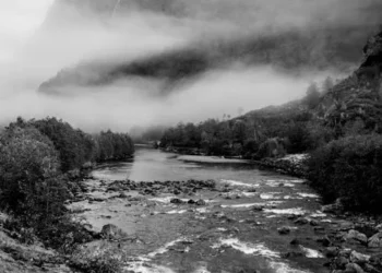 Yirmi Beş Yaşım / Ayşe Karasu