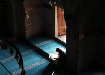 Neylersin / Feyza Çanakçı