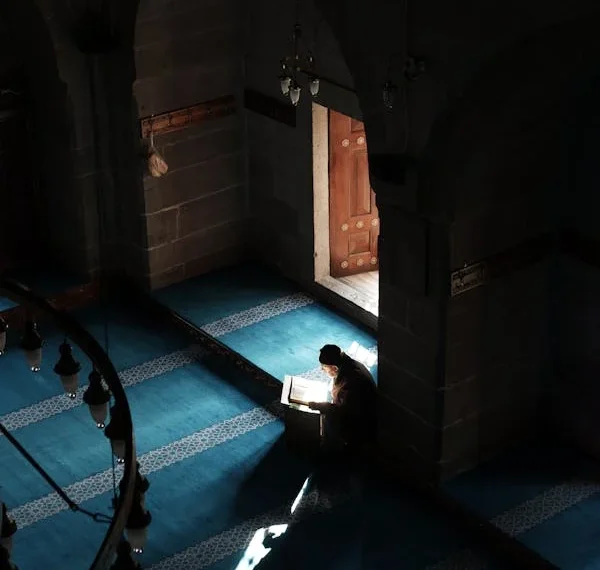 Neylersin / Feyza Çanakçı