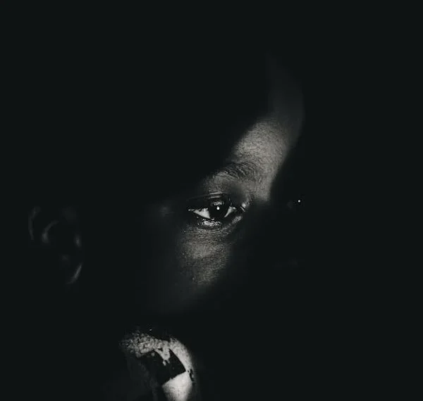 Karanlık Bir Suret Seç Kendine / Binnaz Deniz Yıldız