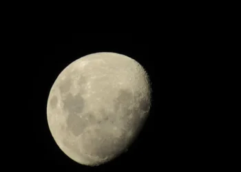 Ay Işığı / Ecrin Adanalı