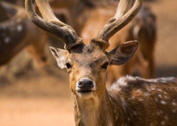 Bazı Günler Başka / Erkan Eren