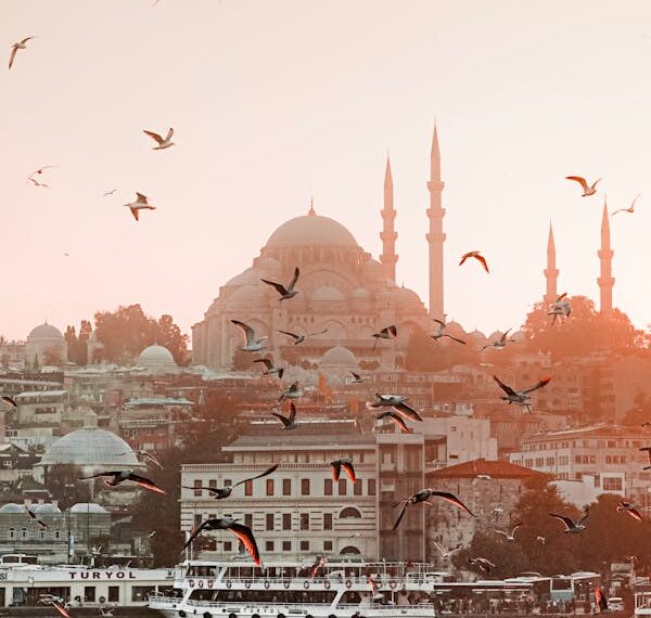 Bir  İstanbul  Hikayesi / Galip Uçar