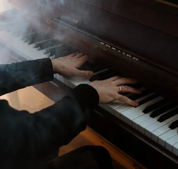 Piyanist / Şehnaz İşeri