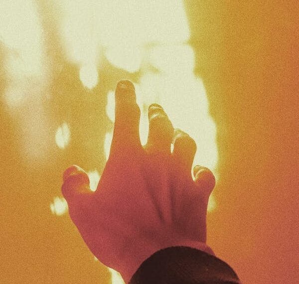 Kanadı Görünmeyen Bir Kuştur “Umut” / Zümrüd-ü Sabah