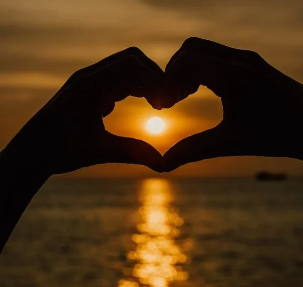 Gönlün Sönmez Güneşi / Gökhan Çağlayan