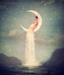 Ayla Balıklarının Alfabesi / Semina İdil