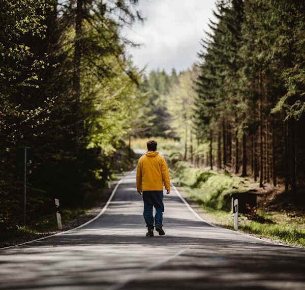 Umut Biter, Ben Gider / Mir Murat Demir