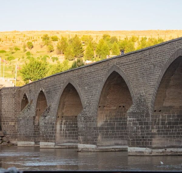 Kumral Güzel / Askeri Turan