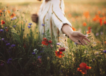 Söyle Bana / Bedriye Korkankorkmaz