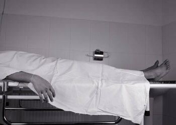 İda Nadi / Binnaz Deniz Yıldız