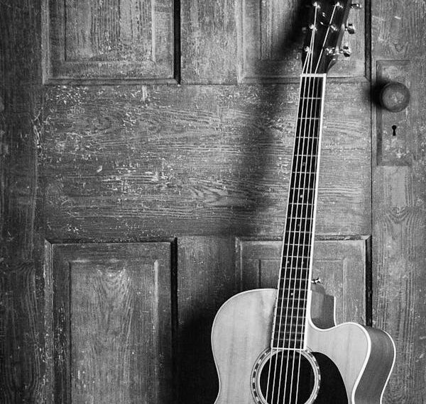 Müzik ve Direniş / Hasan Ali Çölük