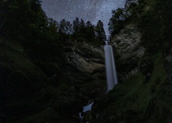 Savak / Şükrü Beşiktaş
