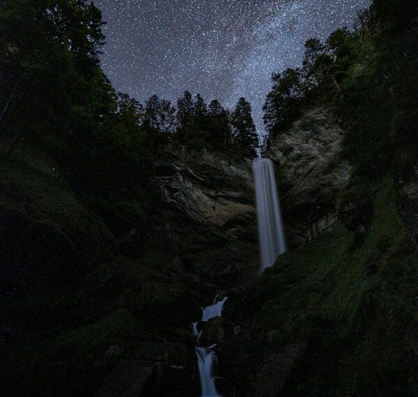 Savak / Şükrü Beşiktaş