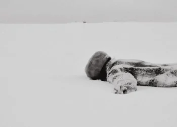 Mazlumlar / Bedriye Korkankorkmaz