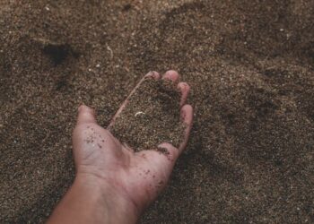 Bilemeyiz / Ulviye Kara Akcoş